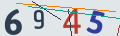 verifycode